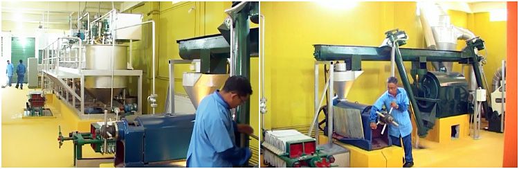 vegetable seed oil mill plant in India