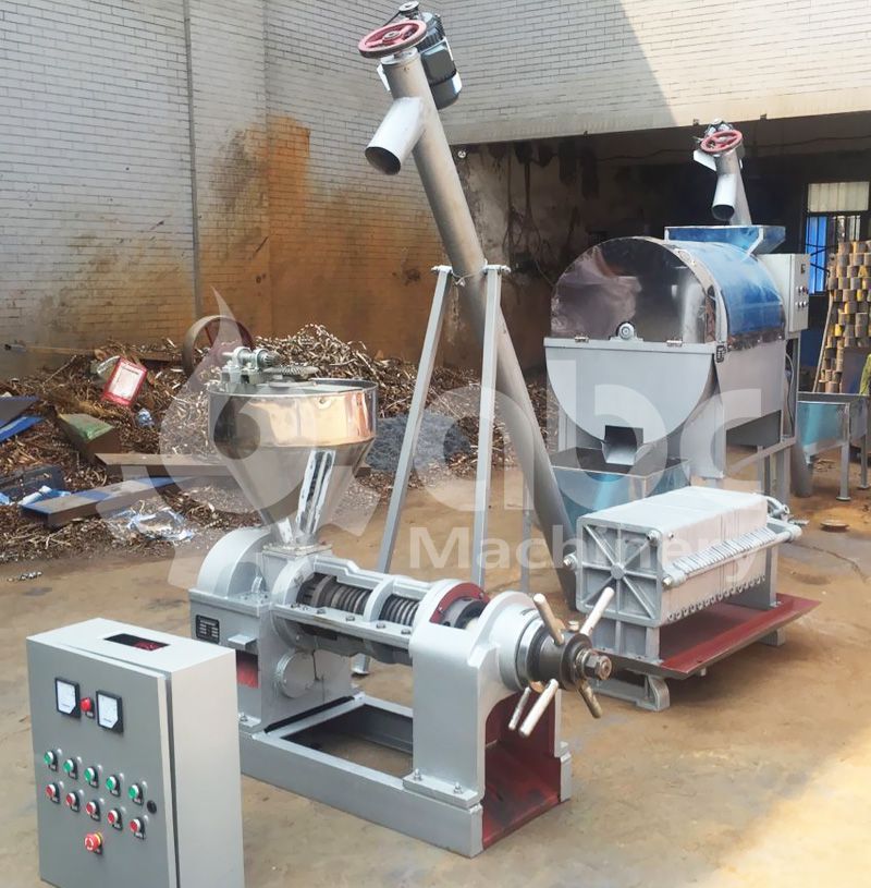 low cost vegetable seed oil production line for sale