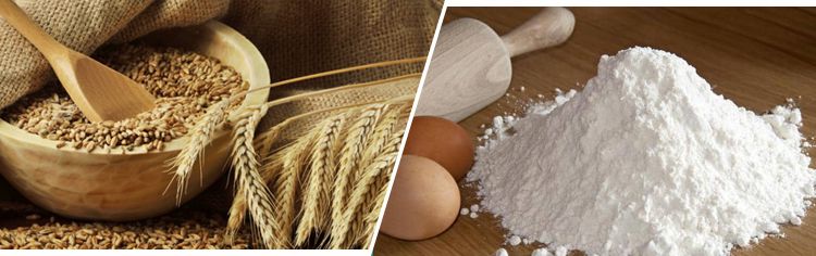 wheat flour mill line production