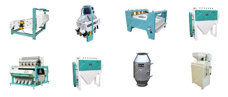 wheat seed processing machine for sale - establish small flour mill