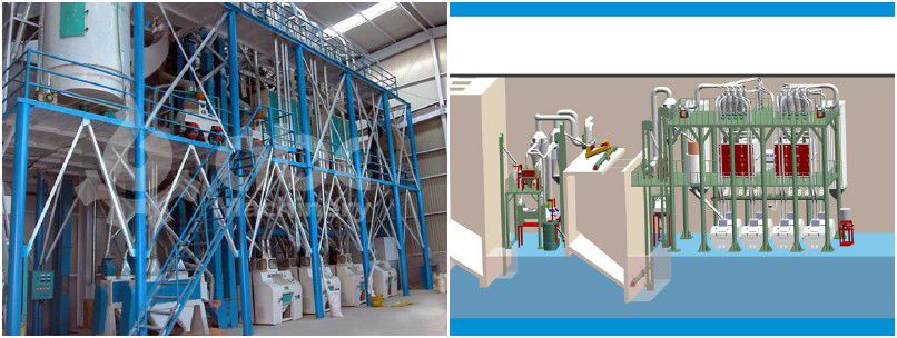 wheat seed processing plant for small flour mill