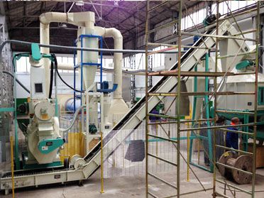 1 TPH Wood Pelleting Plant Set Up in Italy