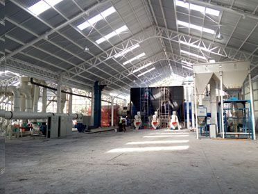 Pine and Eucalyptus Wood Pelletizing Line in Chile