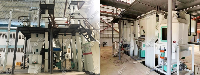 how to make poultry feed mill process