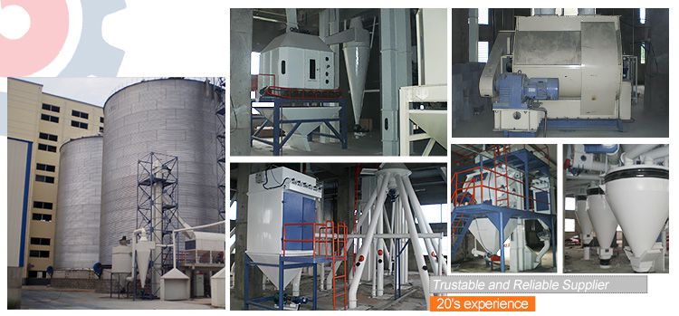 100TPH Poultry Feed Pellet Plant in China