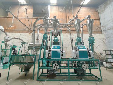 Factory Price Buy 10TPD Commercial Wheat Flour Machine to New Zealand