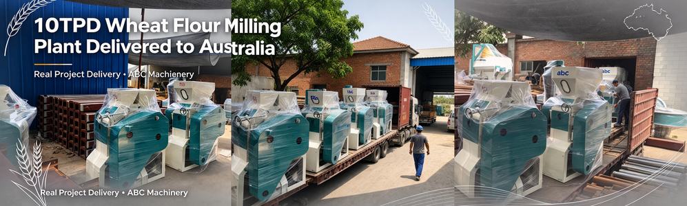 10TPD wheat flour milling plant packed into export container for Australia