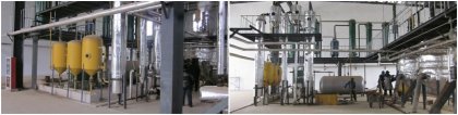 Rice Bran Oil Extraction Machinery