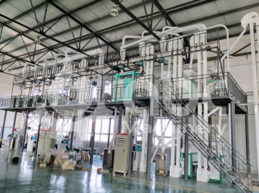 Wheat Seed Processing Plant