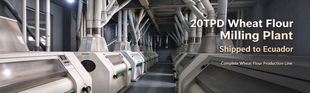 20tpd wheat flour milling plant for Ecuador: roller mill bank, milling hall and plansifter row