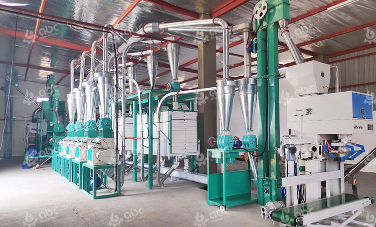 20tpd Small Maize Mill Plant Project