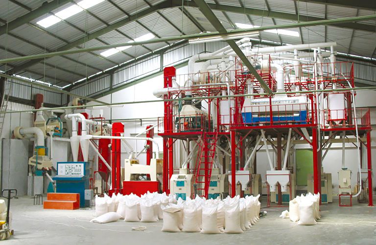 50ton maize milling project for small scale flour processing factory
