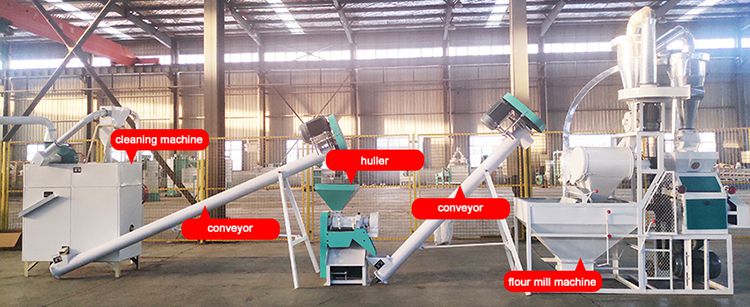 5TPD Mini Maize Flour Milling Plant