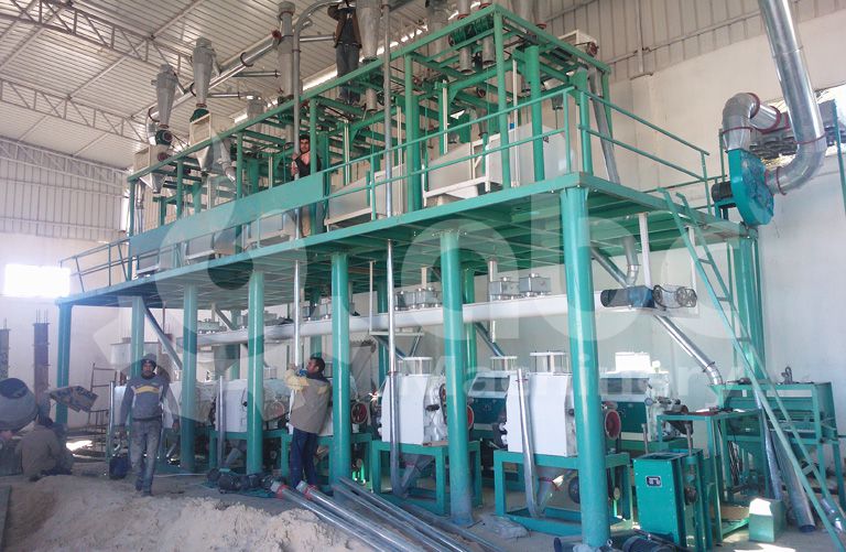 60ton small wheat milling project in Algeria