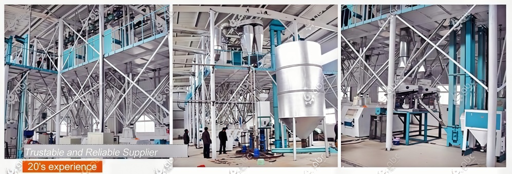 maize flour mill plant at lowest cost