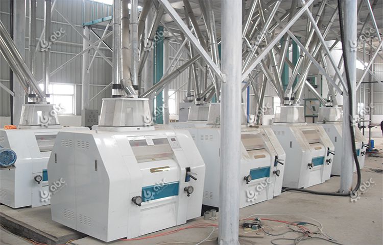80tpd wheat flour production line in zambia