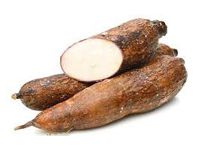 cassava