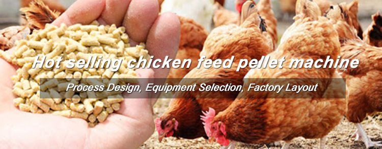 Choosing the Right Poultry Feed Pellet Mill Manufacturer: A Guide for  Poultry Farmers - Poultry Feed Pellet Machine