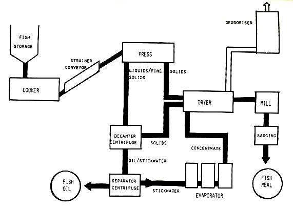 fish meal and fish oil processing flow design