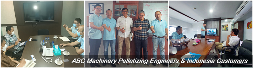 wood pelletizing plant investors in Indonesia