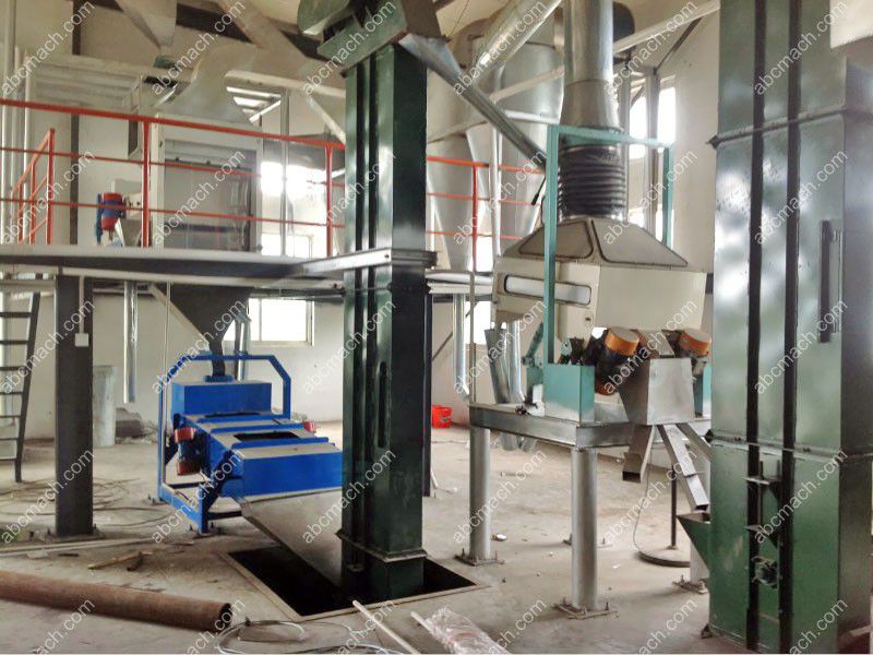oil seed processing