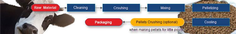 Process of Making Cattle Feed Pellets