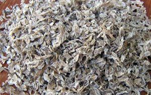 sugar beet pulp