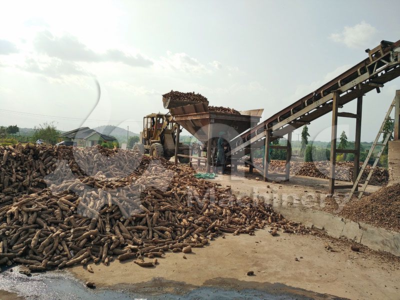 tapioca process plant for producing cassava flour and starch