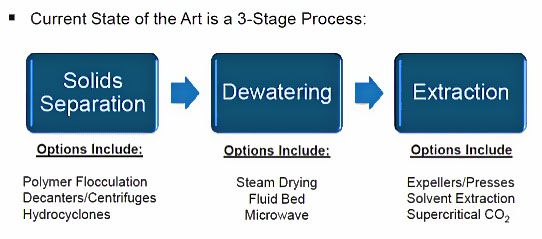 algae oil extraction process