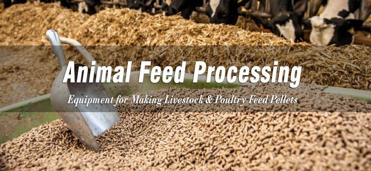 Hotsale Animal Feed Processing Equipment You Must Know About!