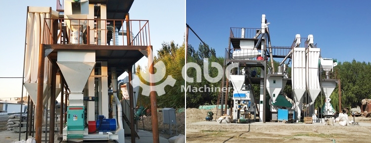 cattle feed manufacturing project report