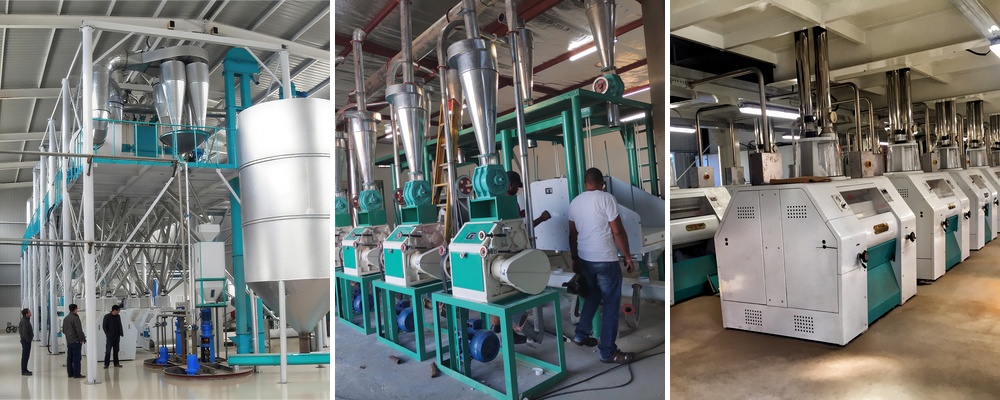 Flour milling manufacturing plant cost