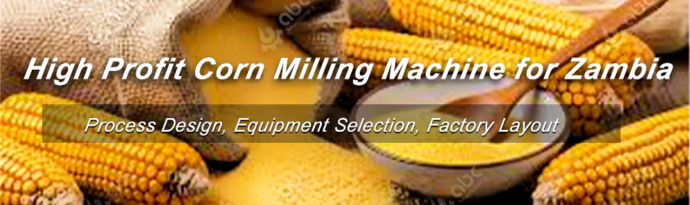 corn flour plant in Zambia