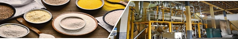 choose best flour mill plant in Africa