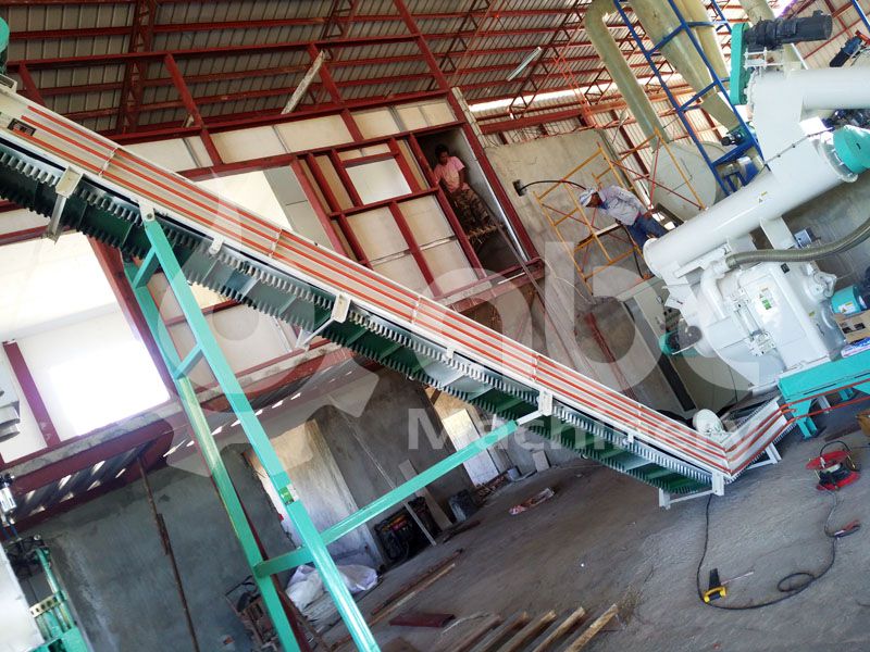 biomass grass pellet machine in full scale production line