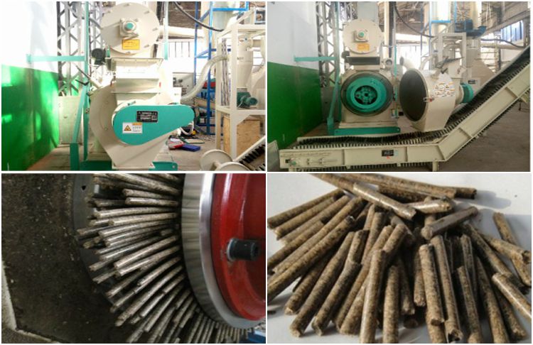 complete biomass pellet plant setup cost