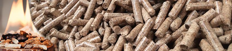 biomass pellet production in Indonesia