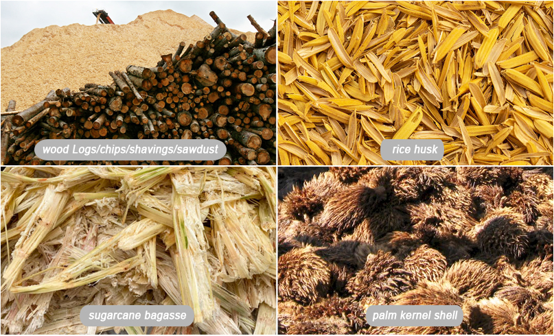 making biomass pellets business in Indonesia