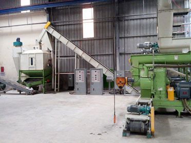 5TPH Wood Pellet Manufacturing in Vietnam