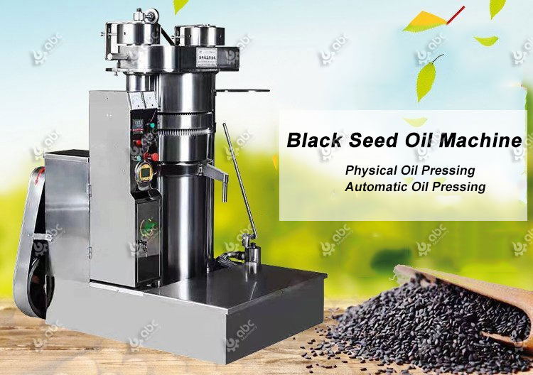 black seed oil cold press machine for sale