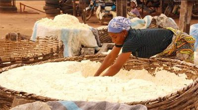 cassava flour market