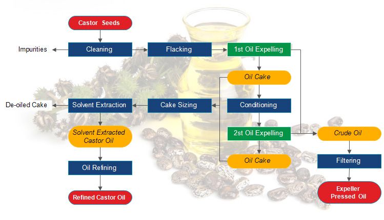 castor oil manufacturing process