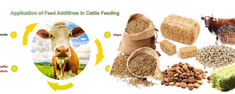 start profitable cattle feed manufacturing business