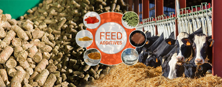 cattle feed production process additives formula