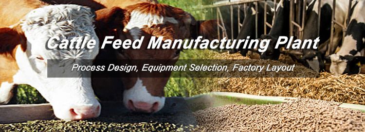 Tips for Starting Cattle Feed Manufacturing Plant, Project Cost