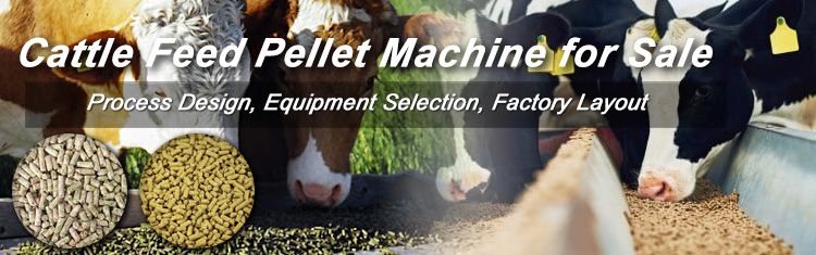 Cattle Feed Pellet Production