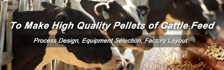 Cattle Feed Pellet Production