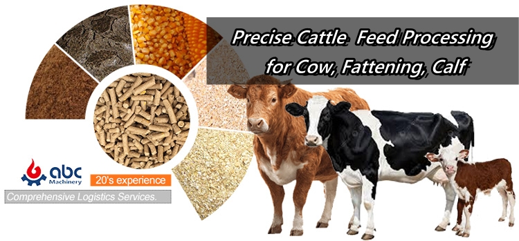best cattle feed formulation, pellets production for cow, fattening beef