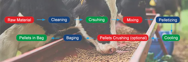 cattle feed pellets making process flow chart