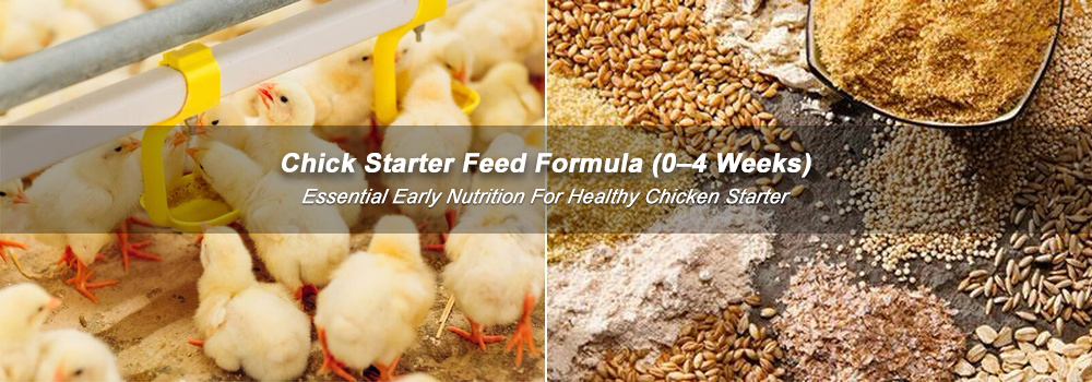 Chick Starter Feed Formula, Early Growth Feed, Affordable Chick Feed Mixing Solutions